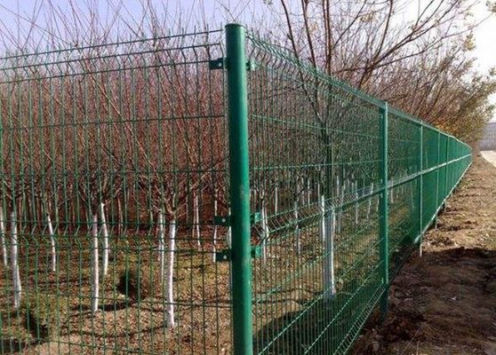 China Galvanisierte Bauernhof-Mehrfarbenmasche, die für das Obstbaum-Pflanzen ficht fournisseur