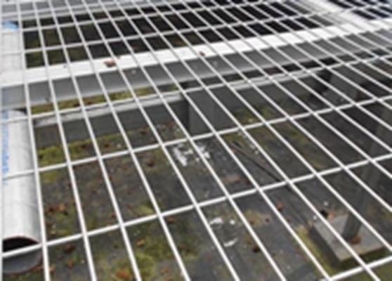 China Leicht zusammengebauter geschweißter Maschendraht täfelt quadratisches Loch für Gewächshaus-Bett-Netze fournisseur