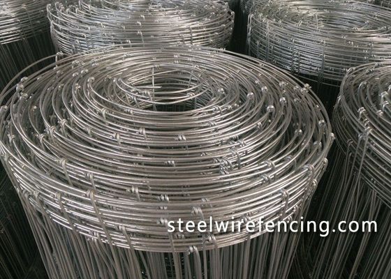 China Wärmebehandelter Spanndraht-Rotwild-Zaun mit galvanisierter Knoten-einfacher Wartung fournisseur