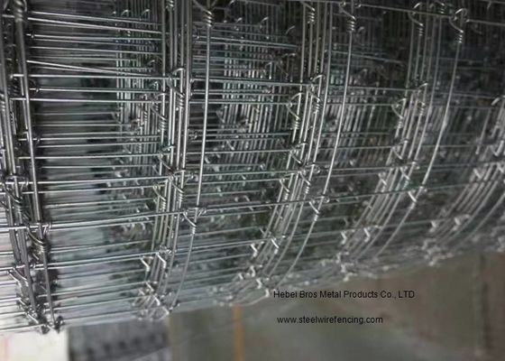 China Der galvanisierte örtlich festgelegte einfache Knoten-Vieh-Draht-Zaun installieren mit hochfestem fournisseur