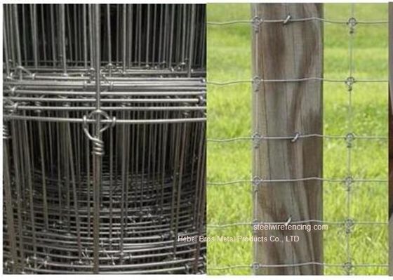China Galvanisierter Wiesen-Vieh-Draht-Zaun/reparierte Knoten gesponnenen Rotwild-Zaun für Weide fournisseur